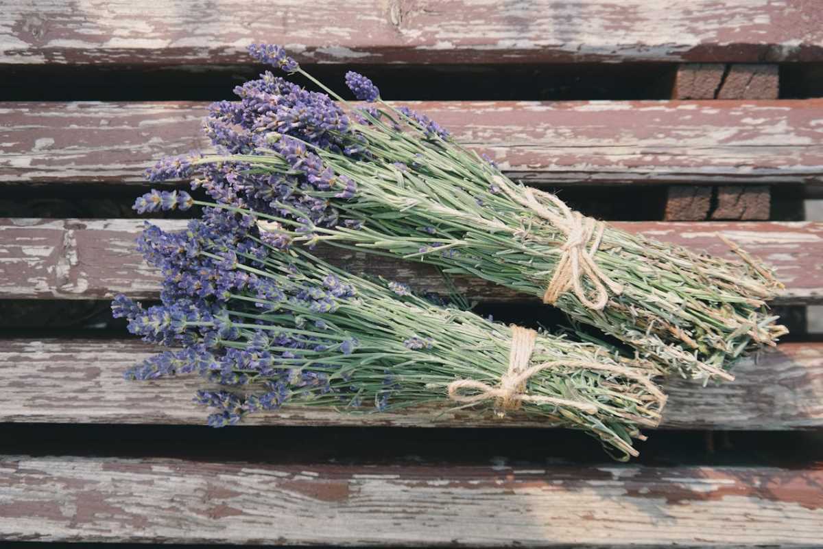 10 Unique Ways to Scent Your Home Without Using Candles