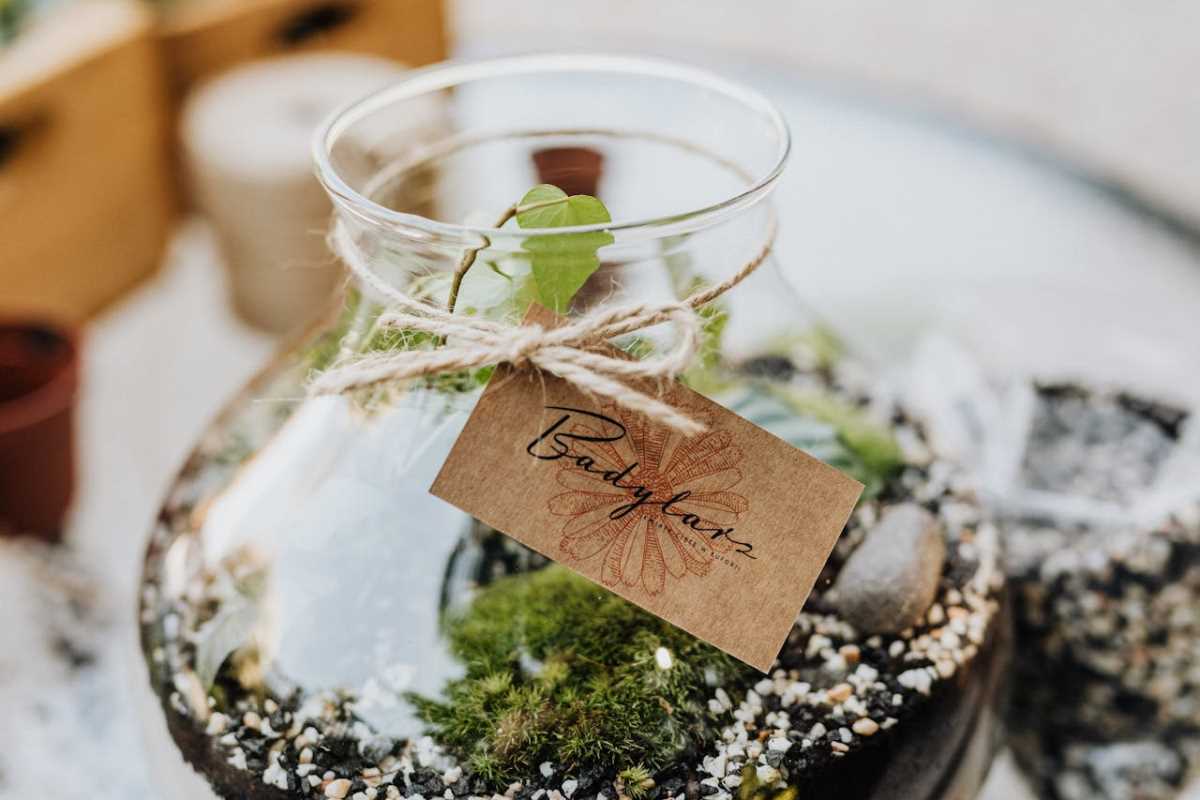 DIY Terrariums That Bring the Outdoors Into Your Home