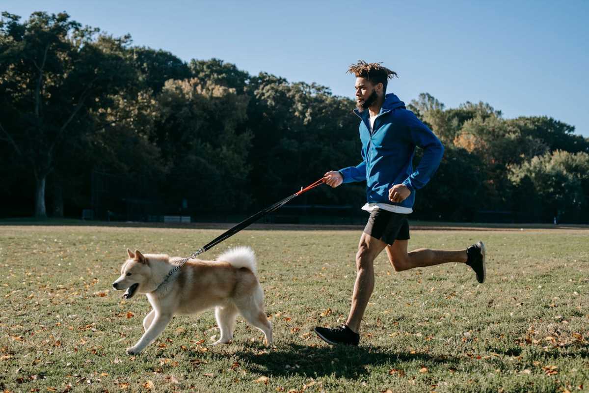 How to Exercise With Your Pet and Double the Fun 